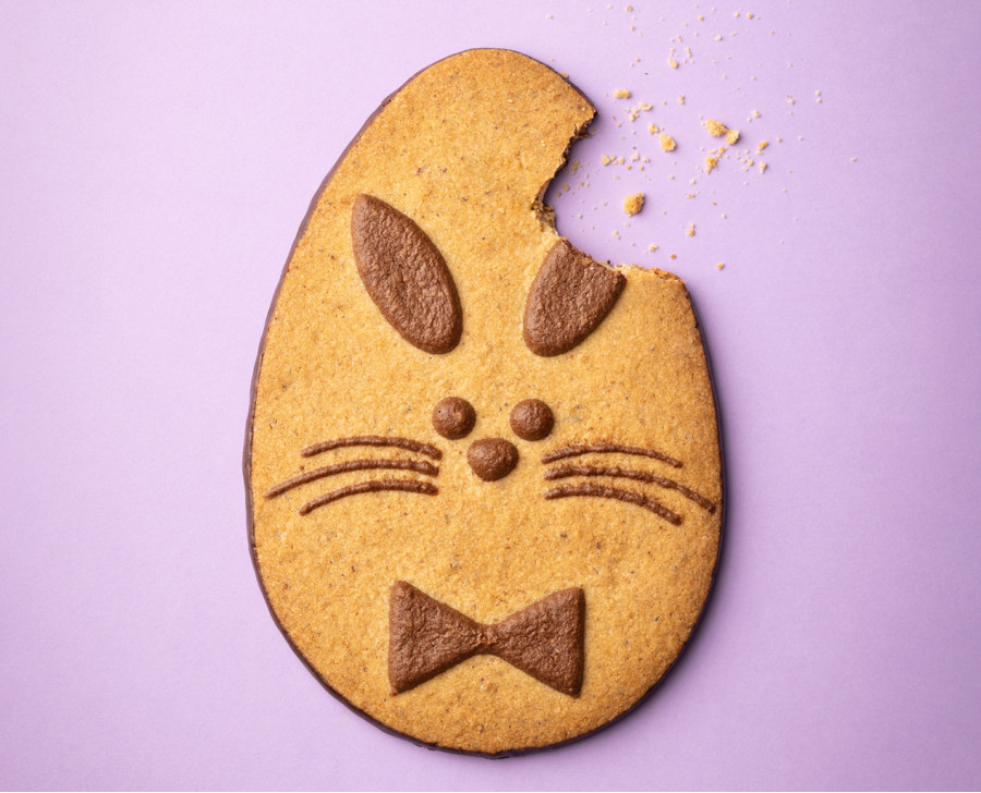 Easter Bunny, chocolate & hazelnut butter biscuit | Maison Alsacienne de Biscuiterie Easter Bunny, chocolate & hazelnut butter biscuit | Maison Alsacienne de Biscuiterie