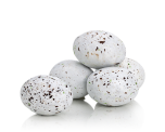 Stork eggs