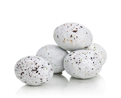 Chocolat oeufs de cigogne