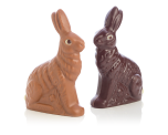 Duo of chocolate Easter bunnies
