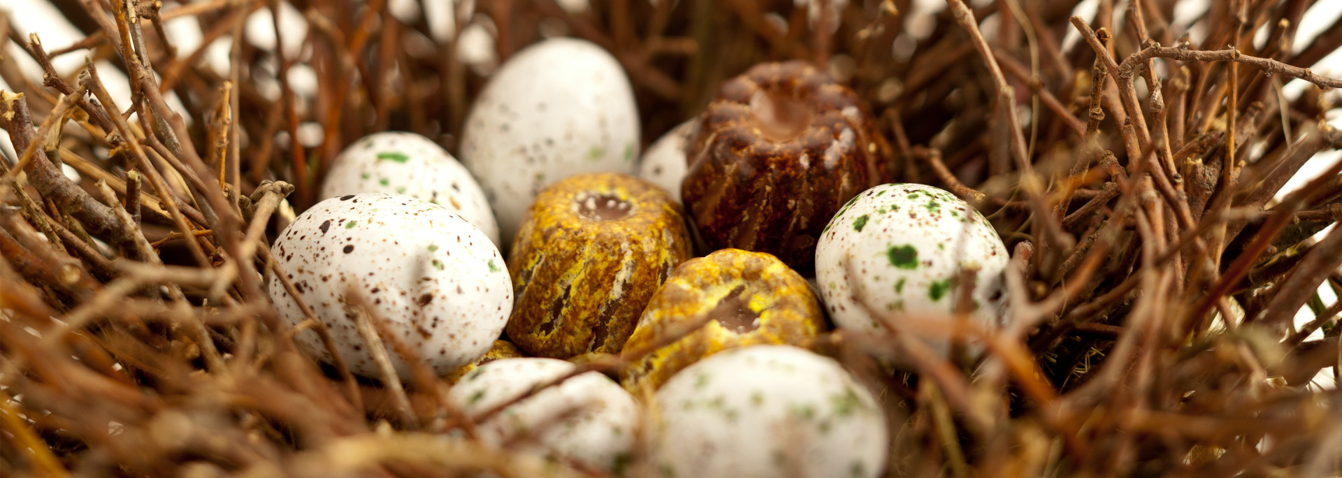 Chocolate & Confectionery